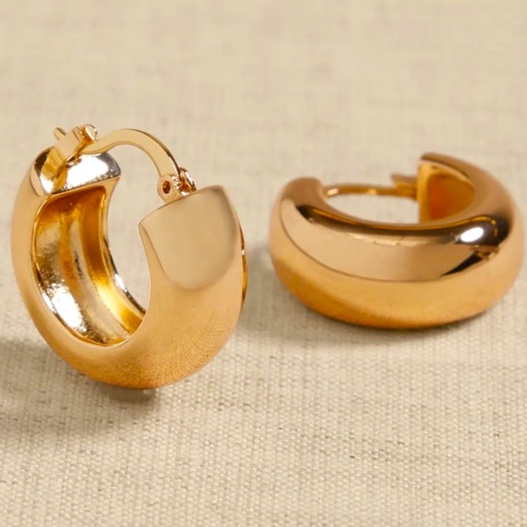 NWT BANANA REPUBLIC HOOP EARRINGS - Picture 1 of 3